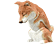 YELL  Č
