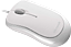 Microsoft Compact Optical Mouse 500 U81-00084